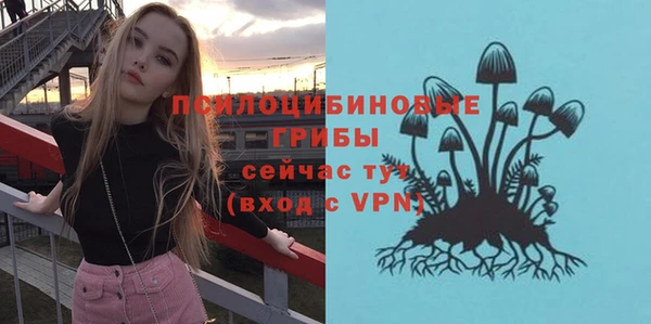 ECSTASY Волосово