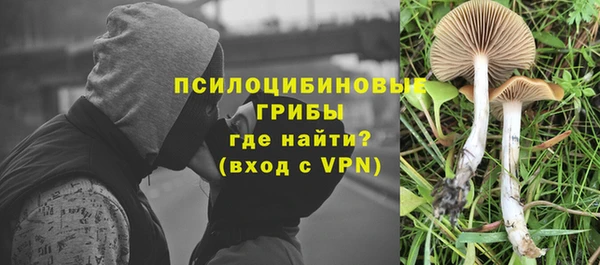 стафф Володарск