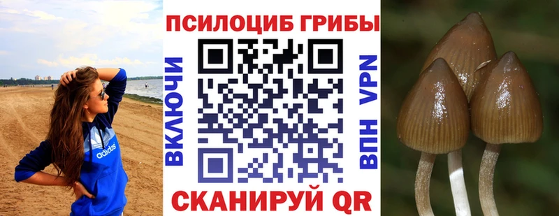 Псилоцибиновые грибы мицелий Красновишерск